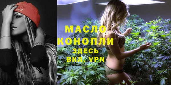 дмт Янаул