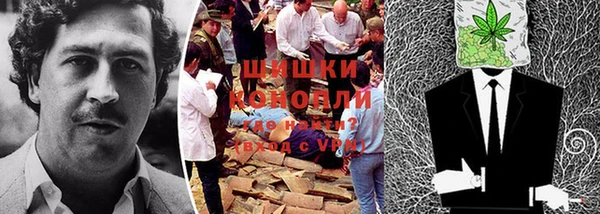 сатива Осташков