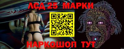 гидра Заволжье