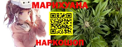 гидра Заволжье