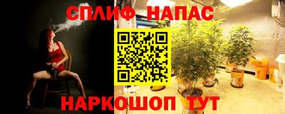 стаф Заводоуковск