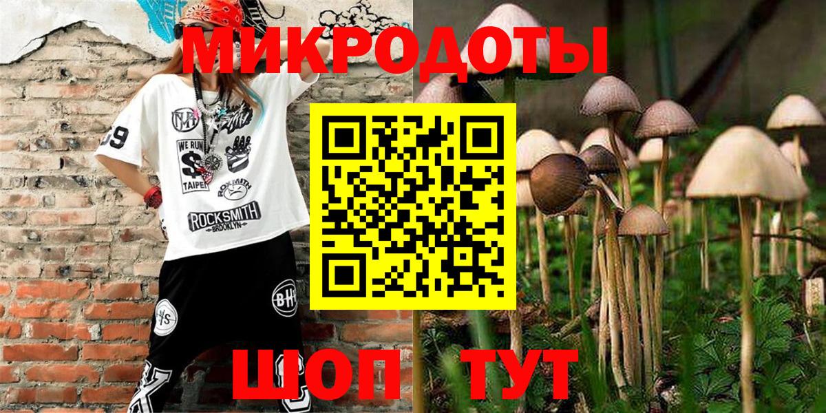 Псилоцибиновые грибы прущие грибы Ставрополь