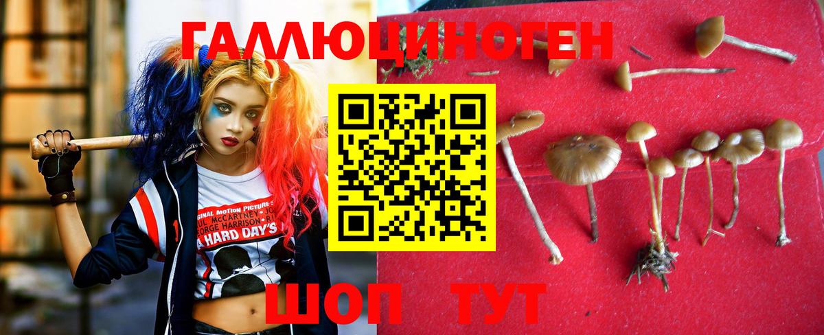 Галлюциногенные грибы прущие грибы Ставрополь